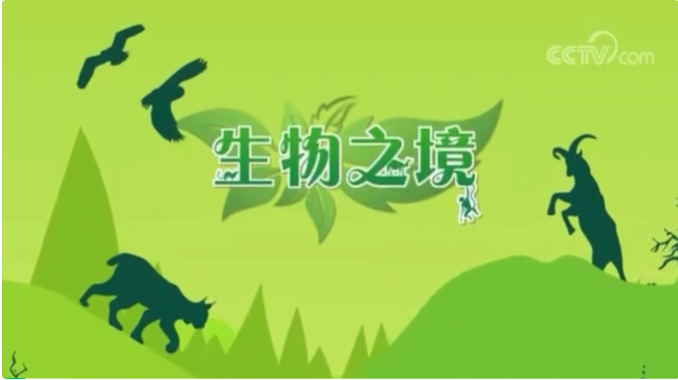 【我们的生物圈 世界的生物圈】《生物之境》第三期：内蒙古大青山国家级自然保护区