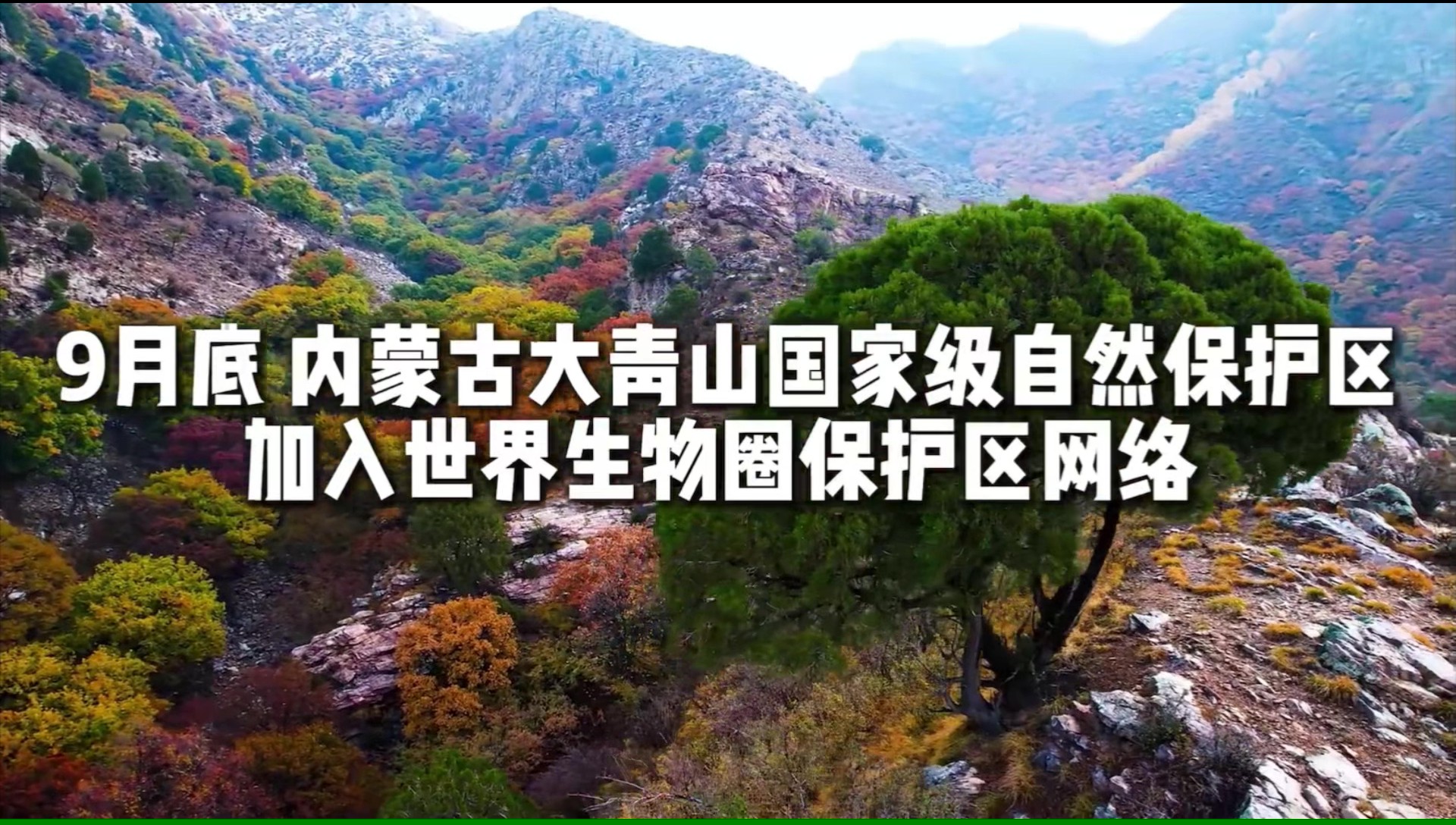 【我们的生物圈 世界的生物圈】秋季旅游清单更新！呼和浩特大青山 等你来！