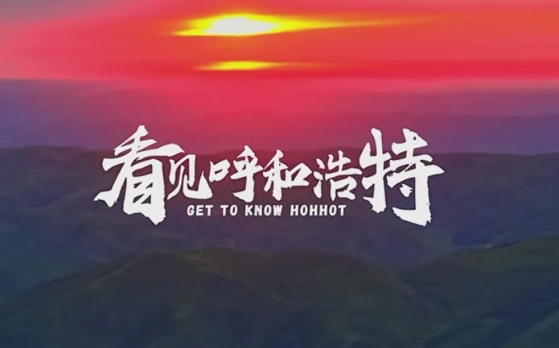 天边就在眼前|生态之美！大青山普氏野马带崽穿行，这才是大自然最鲜活的样子