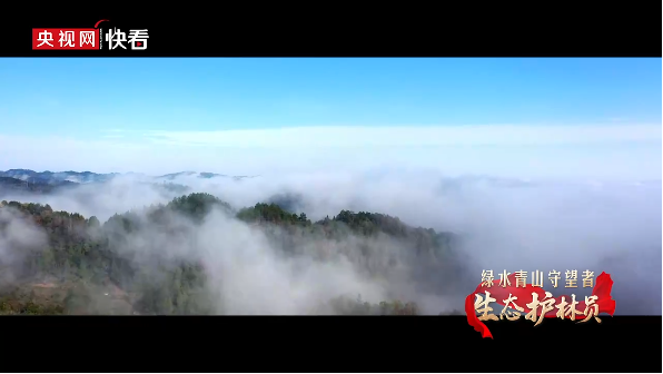 生态护林员：绿水青山守望者